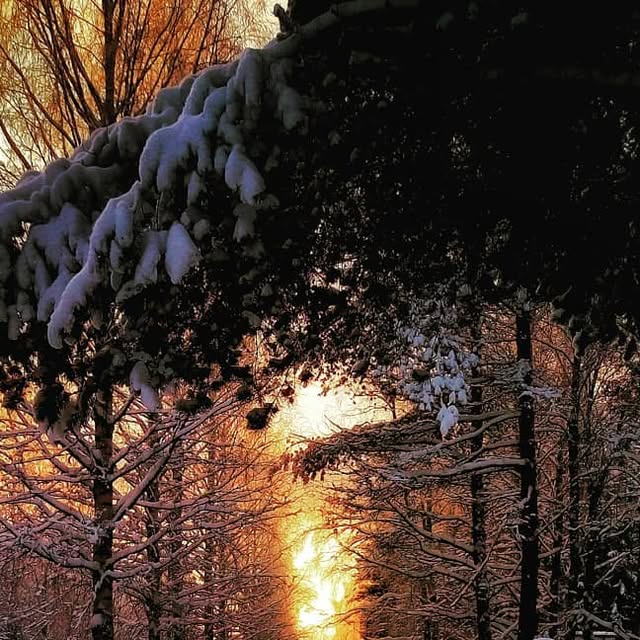 Instagram photography post