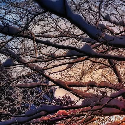 Instagram photography post
